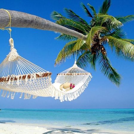 Affordable Two Bedroom Tropical Condo - Private Beach, Pools, Hot Tub Сент-Пітерсбург Екстер'єр фото
