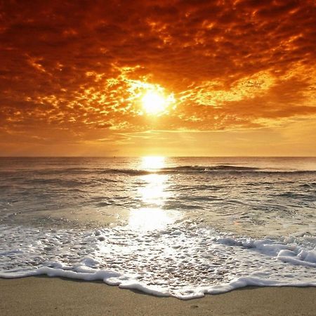 Affordable Two Bedroom Tropical Condo - Private Beach, Pools, Hot Tub Сент-Пітерсбург Екстер'єр фото